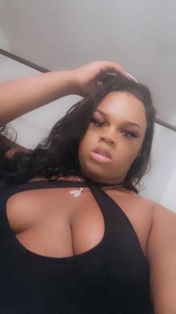 3462904386, transgender escort, San Antonio