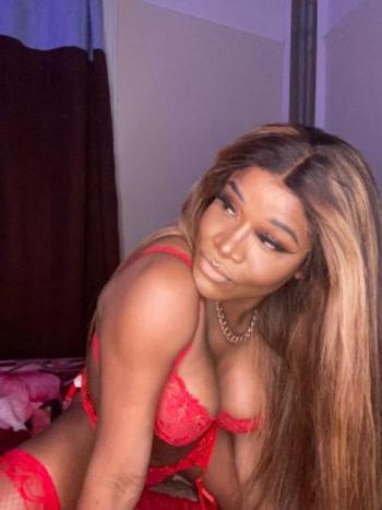8135788285, transgender escort, San Antonio