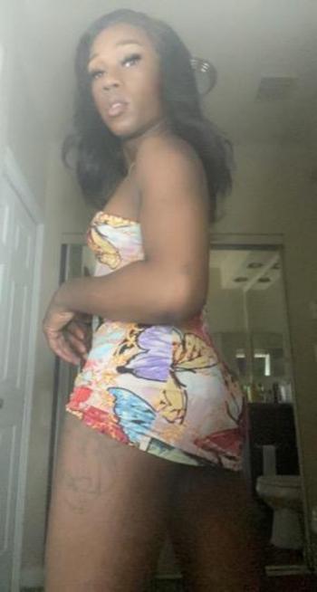 2109484934, transgender escort, San Antonio